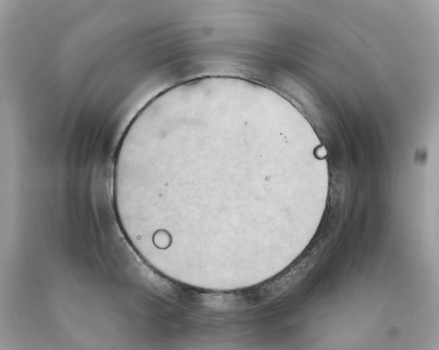 X0000091540804200709141454