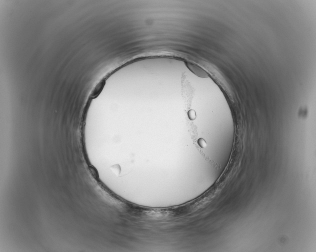 X0000091540805200709141454