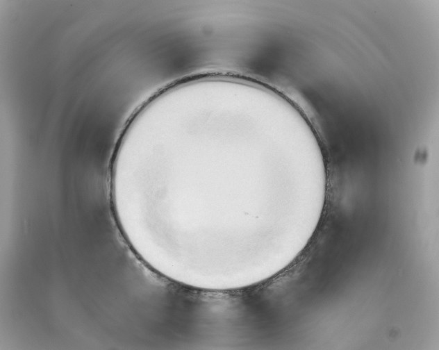 X0000091540807200709141454