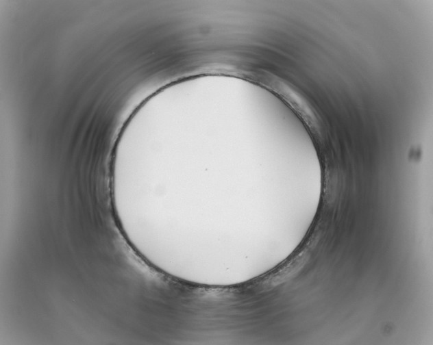 X0000091540808200709141454