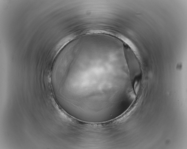 X0000091540809200709141454