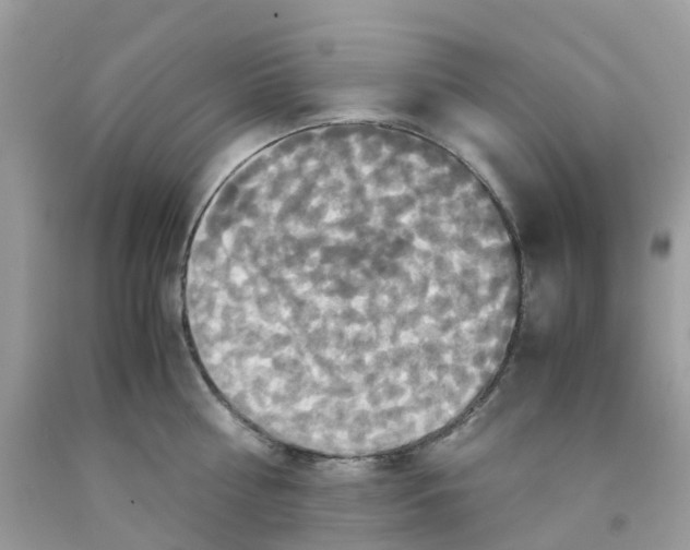 X0000091540810200709141454