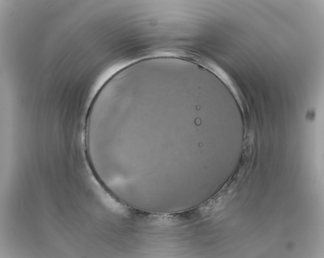 X0000091540811200709141454