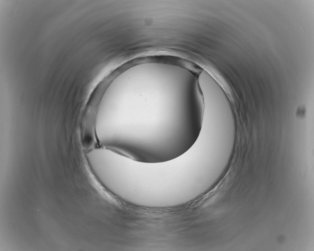 X0000091540813200709141454