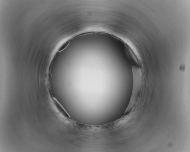 X0000091540815200709141454