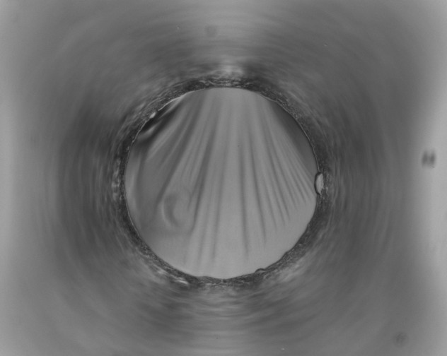 X0000091540818200709141454