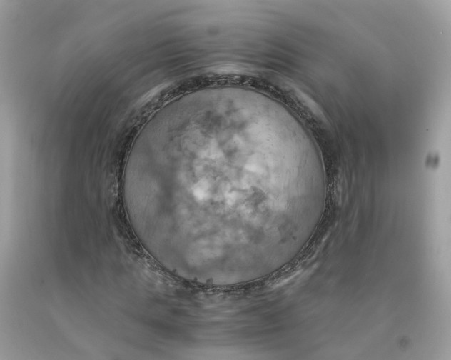 X0000091540821200709141454