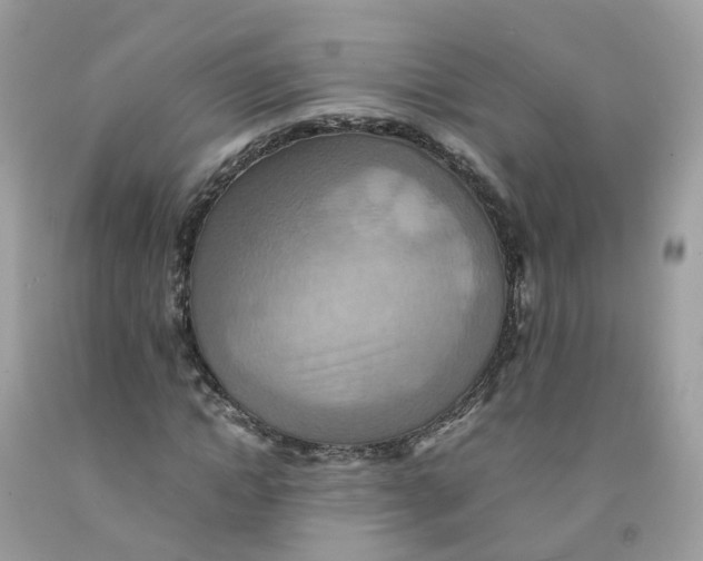 X0000091540822200709141454