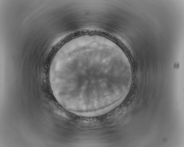 X0000091540823200709141454