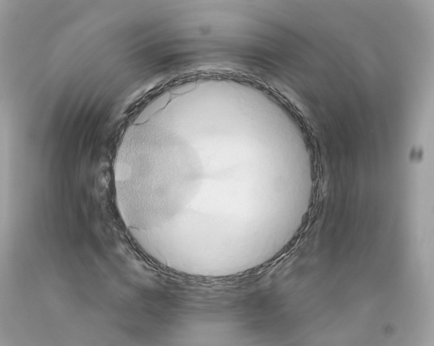 X0000091540824200709141454