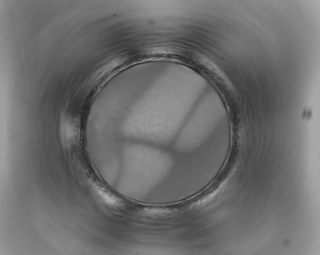 X0000091540825200709141454