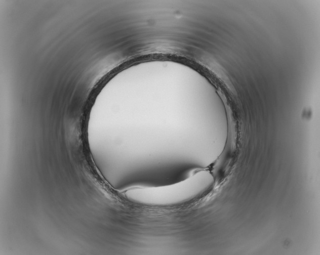 X0000091540826200709141454