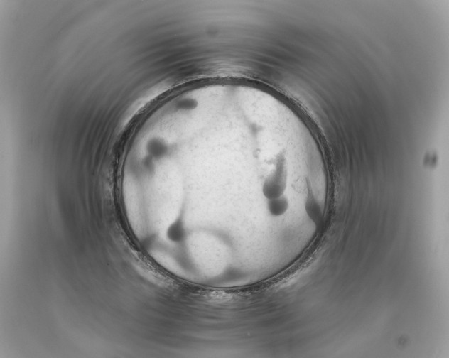 X0000091540827200709141454