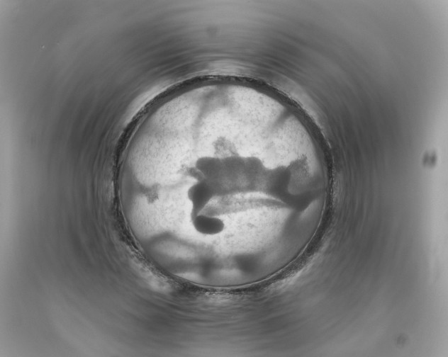 X0000091540829200709141454