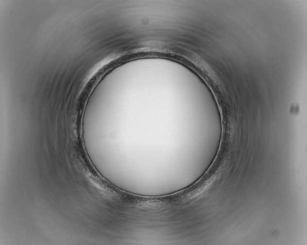 X0000091540830200709141454