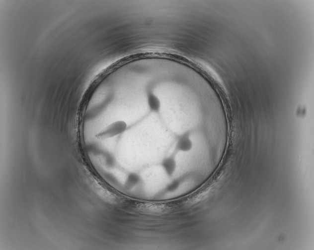 X0000091540831200709141454