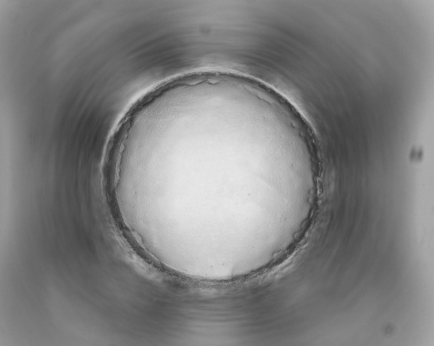 X0000091540832200709141454