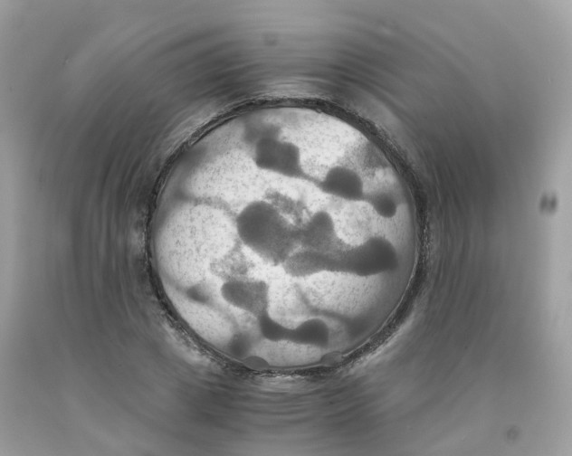 X0000091540833200709141454