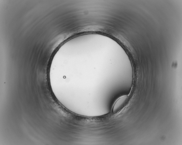 X0000091540834200709141454