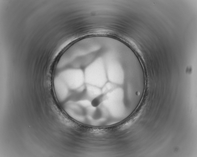 X0000091540835200709141454