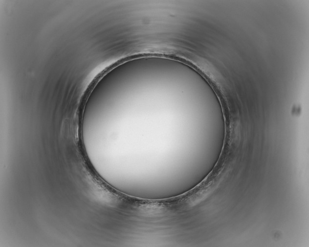 X0000091540838200709141454