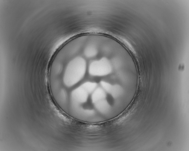 X0000091540839200709141454