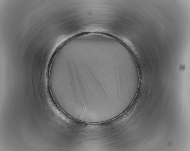 X0000091540840200709141454