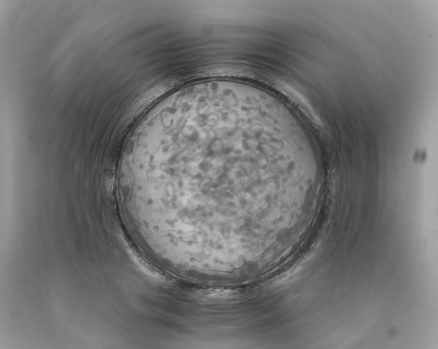 X0000091540841200709141454