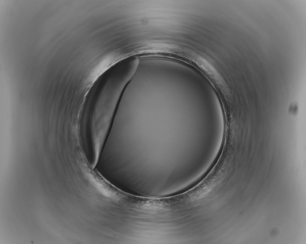 X0000091540842200709141454