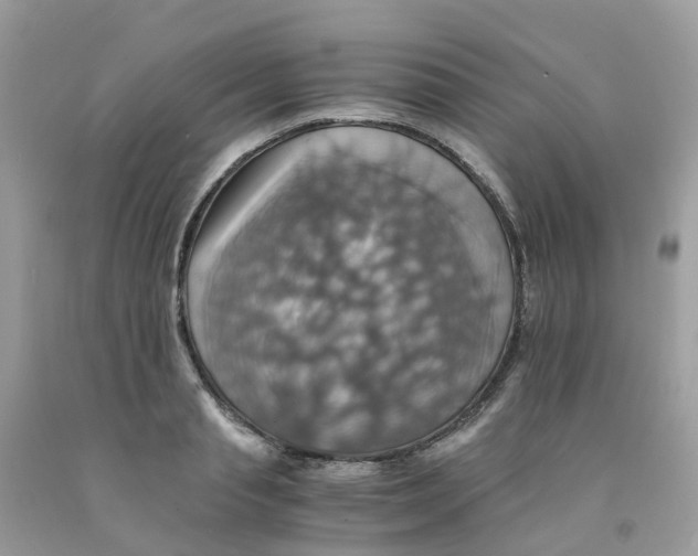 X0000091540845200709141454