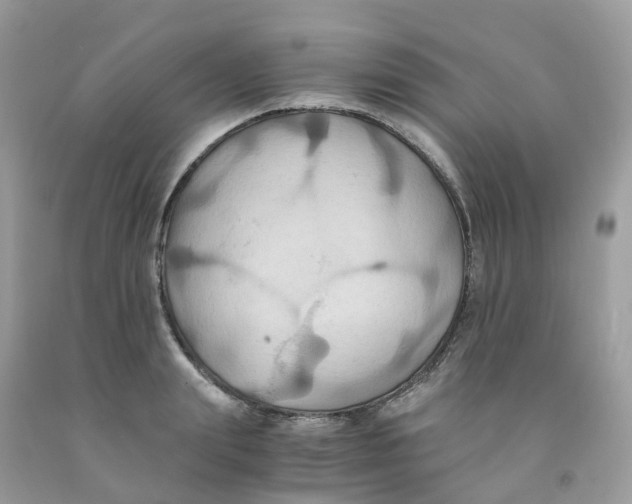 X0000091540847200709141454