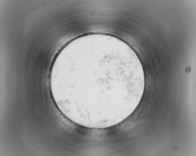 X0000091540848200709141454