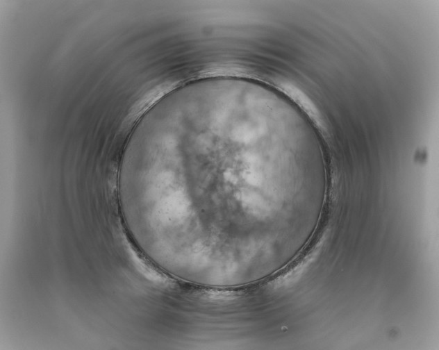 X0000091540849200709141454