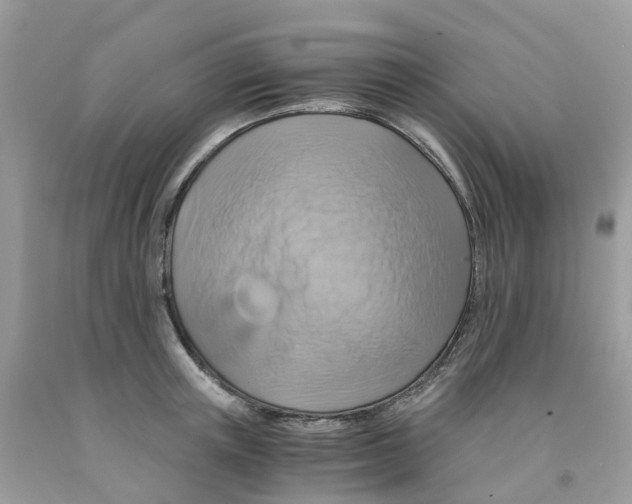 X0000091540851200709141454