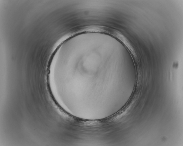 X0000091540853200709141454