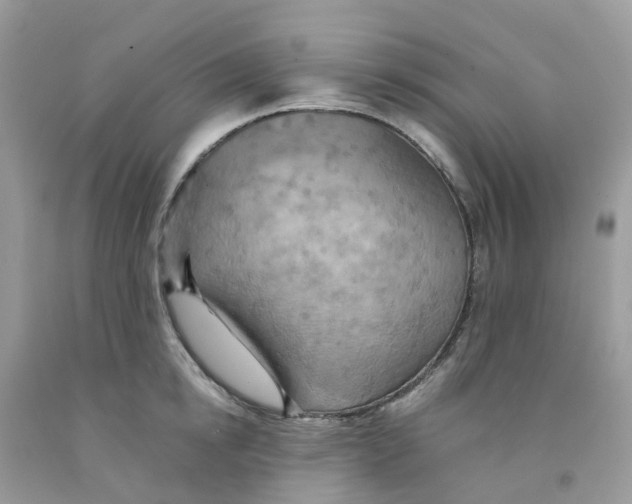 X0000091540854200709141454