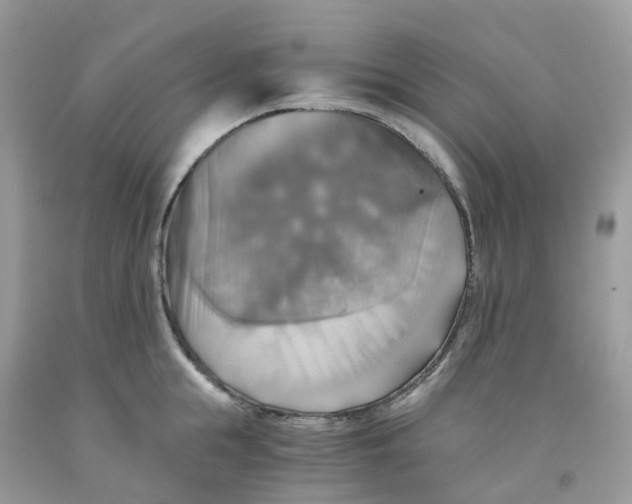 X0000091540855200709141454