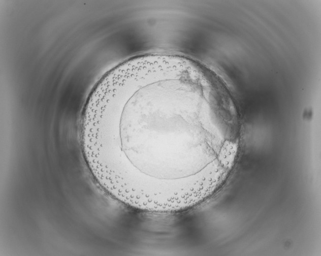 X0000091540856200709141454