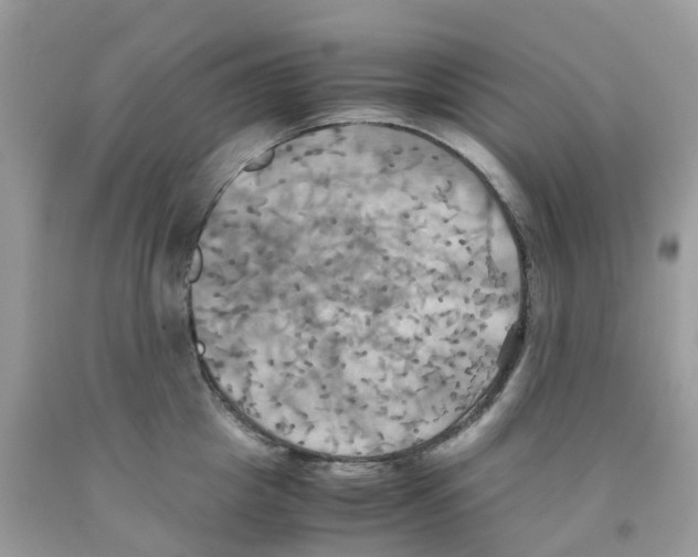 X0000091540857200709141454