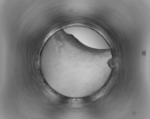 X0000091540858200709141454