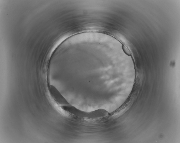 X0000091540859200709141454