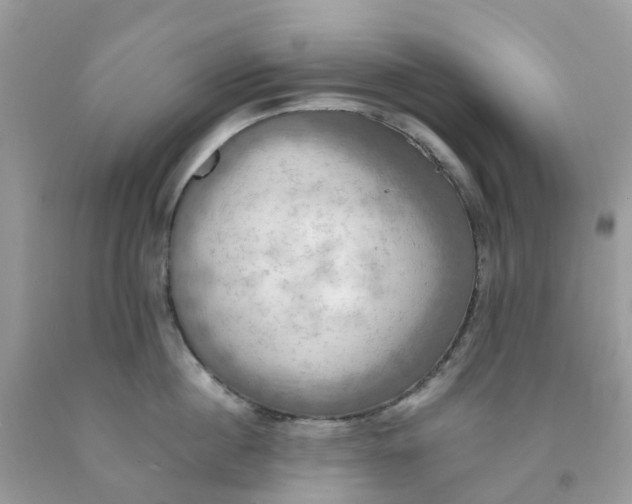 X0000091540860200709141454