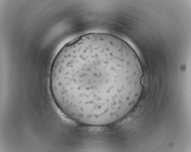 X0000091540861200709141454