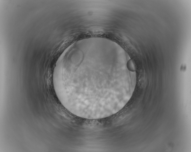 X0000091540866200709141454