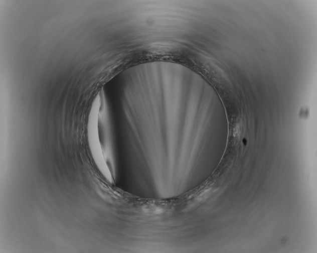 X0000091540868200709141454