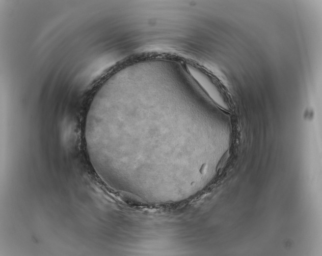 X0000091540872200709141454