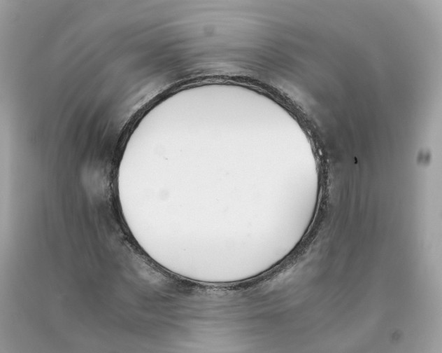 X0000091540873200709141454