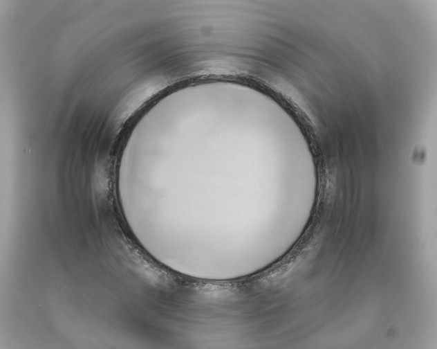 X0000091540874200709141454