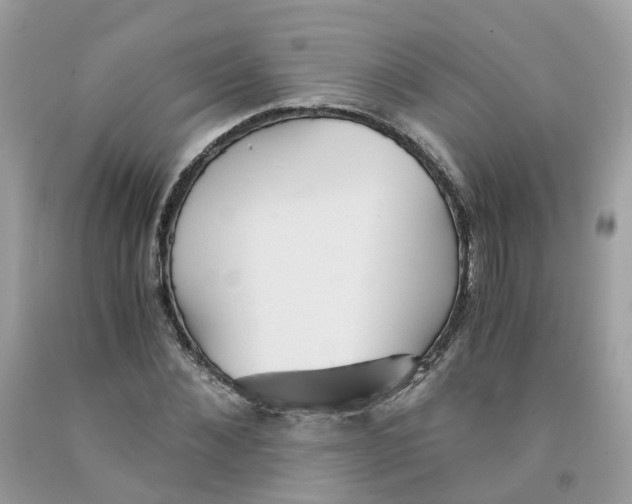 X0000091540876200709141454