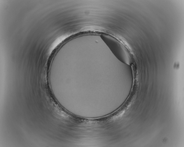 X0000091540877200709141453